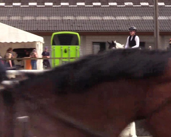 Reitturnier Kropp 2025
