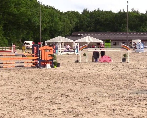 Reitturnier Kropp 2025