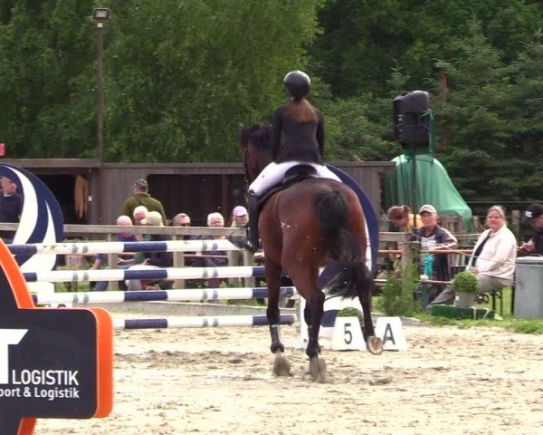 Reitturnier Kropp 2025