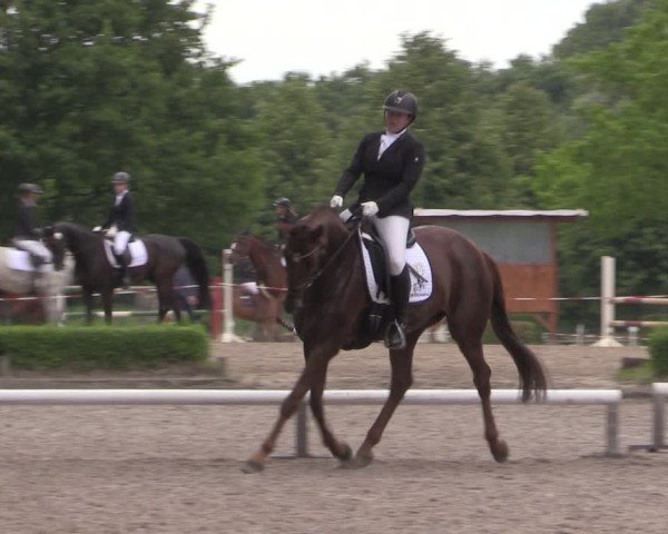 Reitturnier Hamm-Rhynern 2025