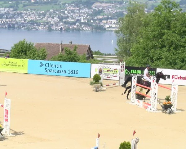 Reitturnier Wädenswil 2025