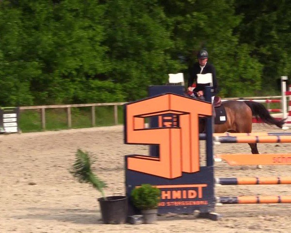 Reitturnier Kropp 2025