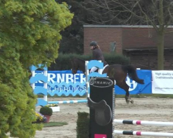Lenklarer Reitertage 2014