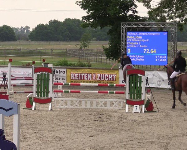 Reitturnier Ruhlsdorf 2025