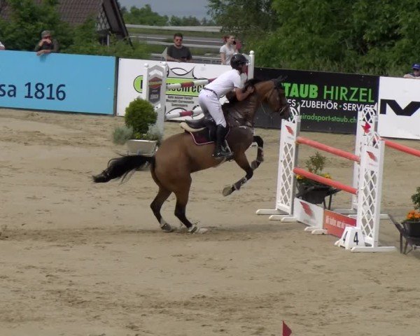 Reitturnier Wädenswil 2025