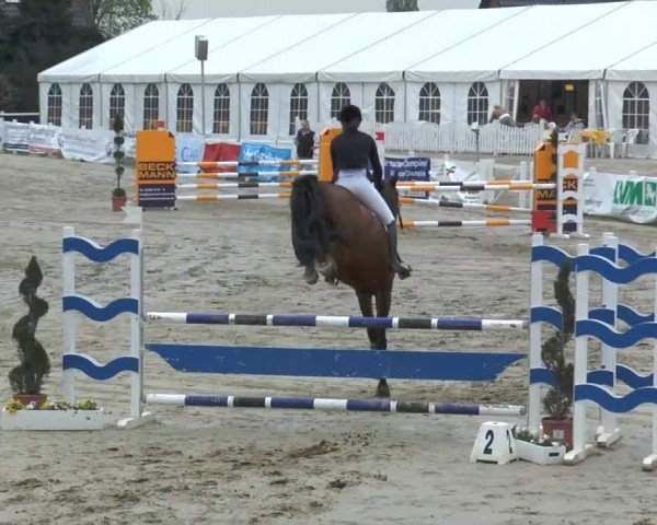 Lenklarer Reitertage 2014