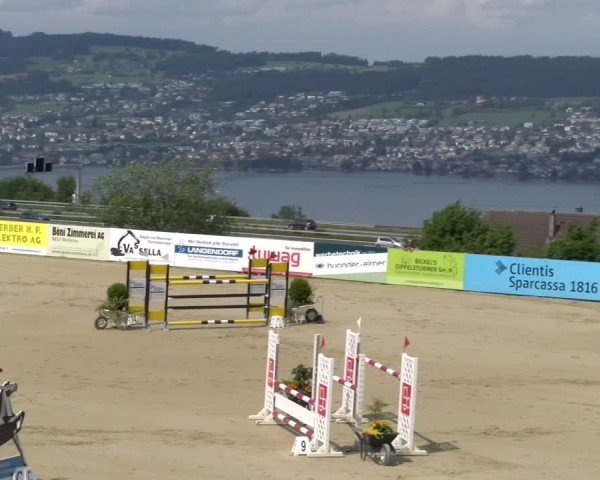 Reitturnier Wädenswil 2025
