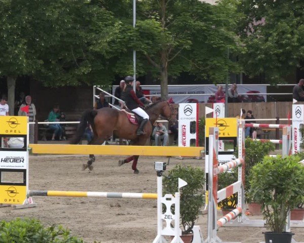 Reitturnier Kitzscher / Reitanlage Heuter 2025