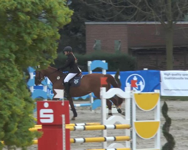 Reitturnier Werne-Lenklar 2014