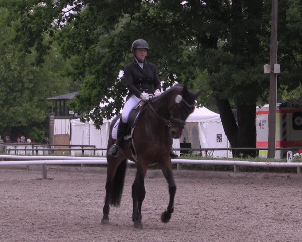 Reitturnier Hamm-Rhynern 2025