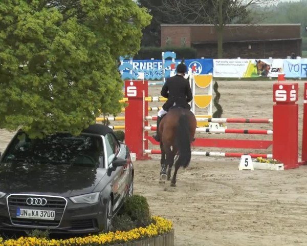 Lenklarer Reitertage 2014