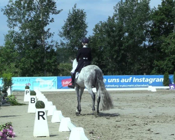 Reitturnier Scharnebeck 2025