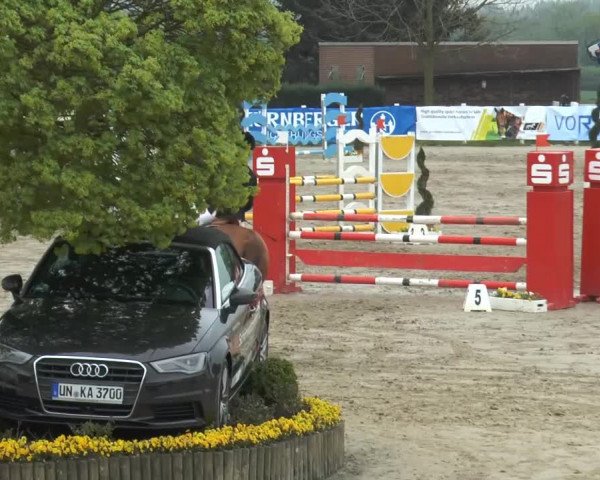 Reitturnier Werne-Lenklar 2014