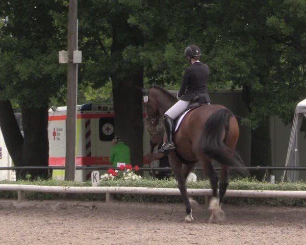 Reitturnier Hamm-Rhynern 2025