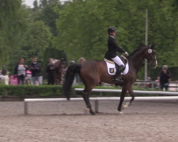 Reitturnier Hamm-Rhynern 2025