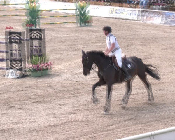 Reitturnier Lassee 2025