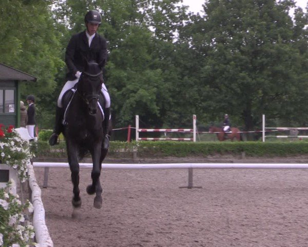 Reitturnier Hamm-Rhynern 2025