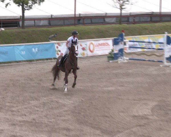 Reitturnier Lassee 2025
