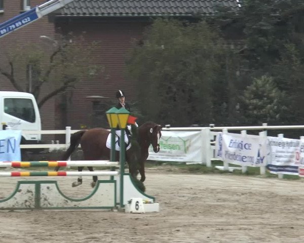 Reitturnier Werne-Lenklar 2014