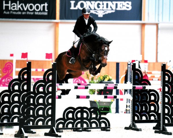broodmare Numero Famorka (KWPN (Royal Dutch Sporthorse), 2010, from Numero Uno)