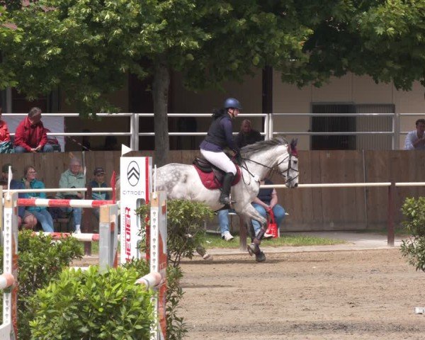 Reitturnier Kitzscher / Reitanlage Heuter 2025