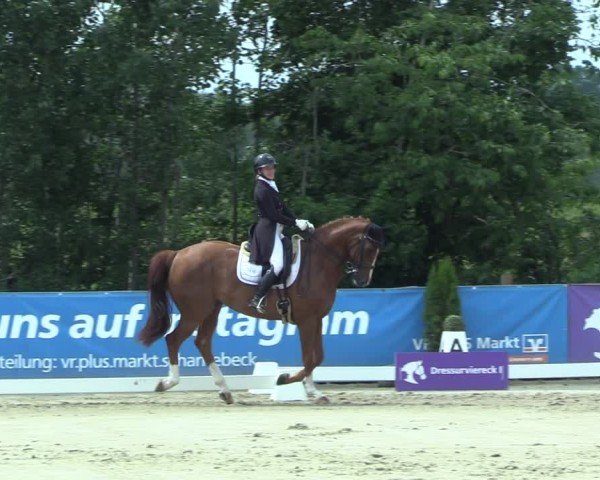 Reitturnier Scharnebeck 2025