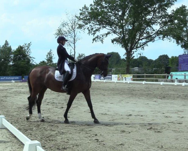 Reitturnier Scharnebeck 2025