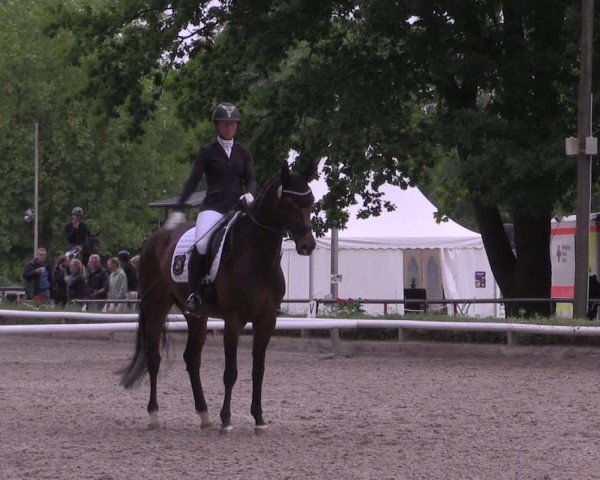 Reitturnier Hamm-Rhynern 2025