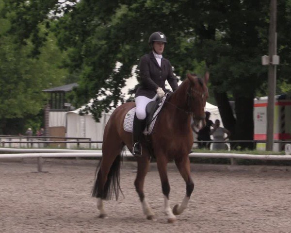Reitturnier Hamm-Rhynern 2025