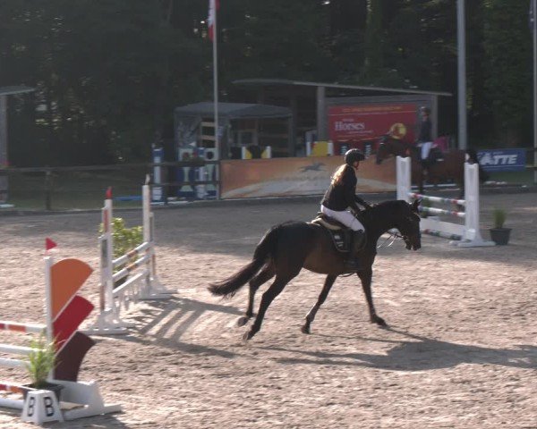 Reitturnier Klein Roscharden 2025