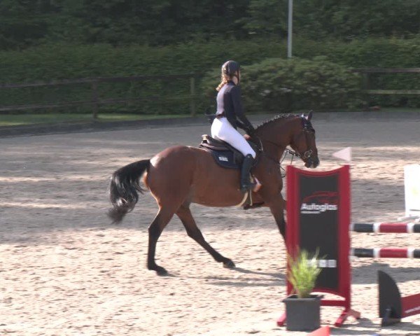 Reitturnier Klein Roscharden 2025