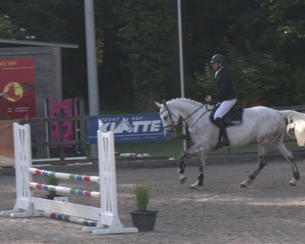 Reitturnier Klein Roscharden 2025