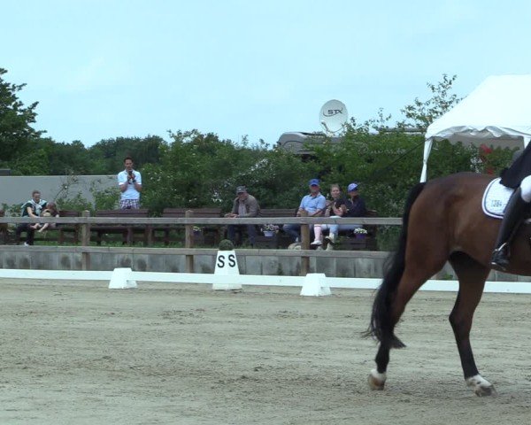 Reitturnier Scharnebeck 2025