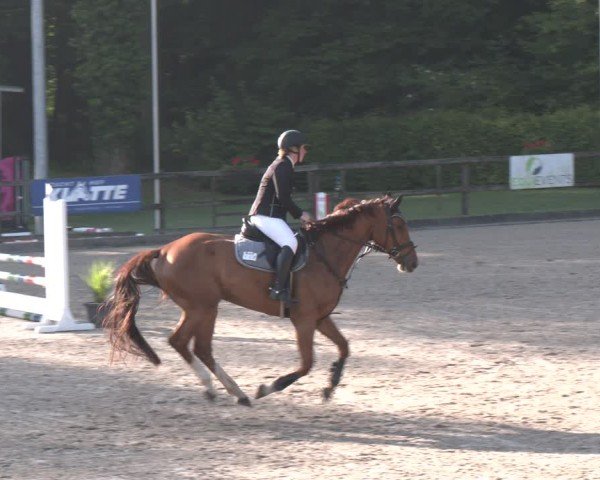 Reitturnier Klein Roscharden 2025