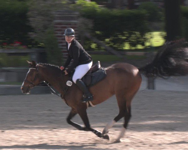 Reitturnier Klein Roscharden 2025