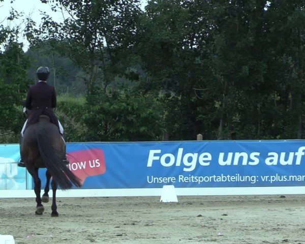 Reitturnier Scharnebeck 2025