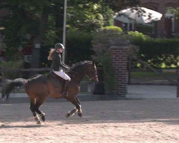 Reitturnier Klein Roscharden 2025