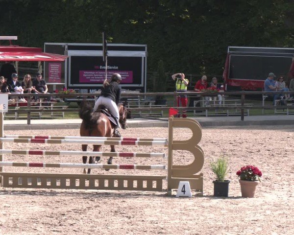 Reitturnier Klein Roscharden 2025