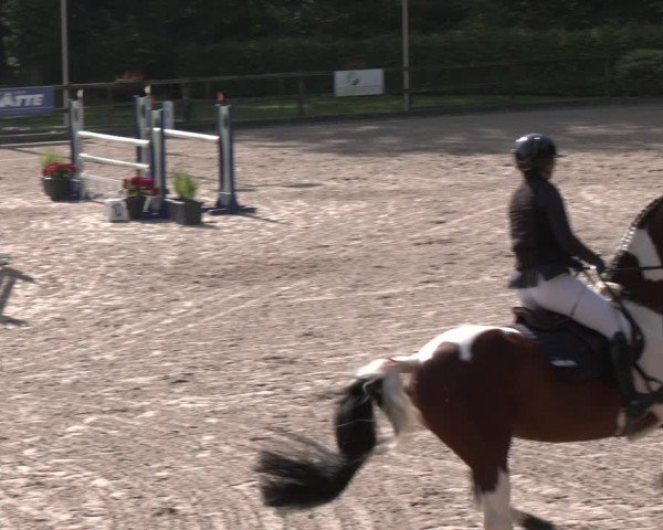 Reitturnier Klein Roscharden 2025