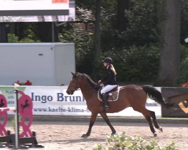 Reitturnier Klein Roscharden 2025