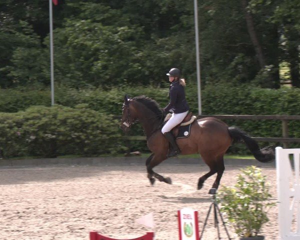 Reitturnier Klein Roscharden 2025