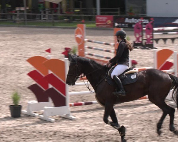 Reitturnier Klein Roscharden 2025
