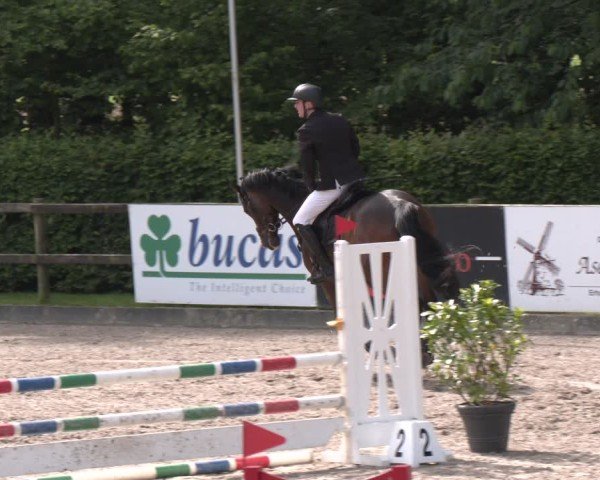 Reitturnier Klein Roscharden 2025
