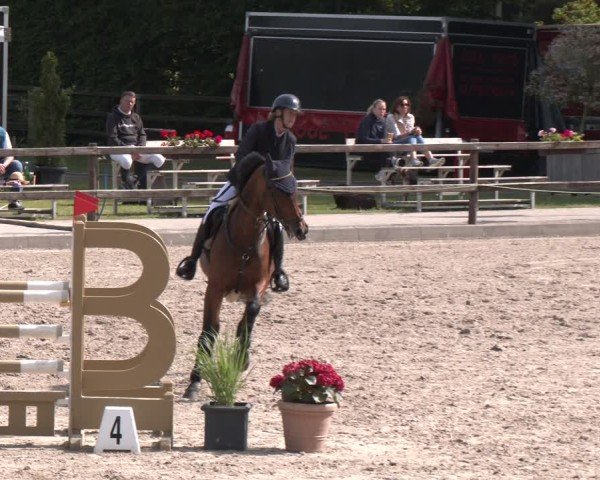 Reitturnier Klein Roscharden 2025