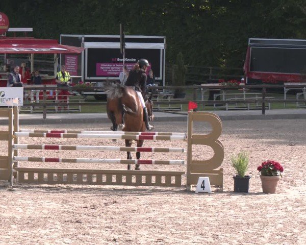 Reitturnier Klein Roscharden 2025