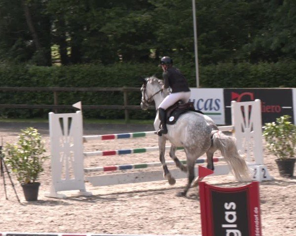 Reitturnier Klein Roscharden 2025