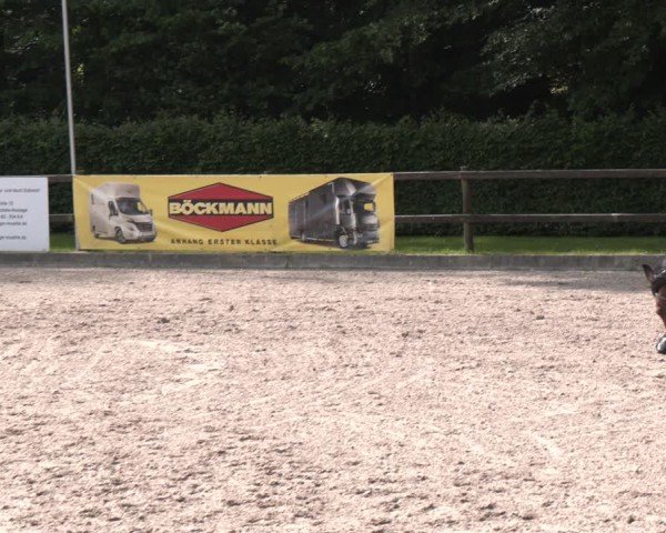 Reitturnier Klein Roscharden 2025