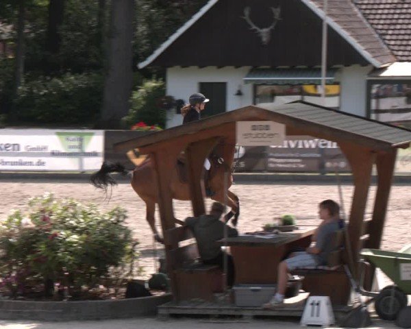 Reitturnier Klein Roscharden 2025