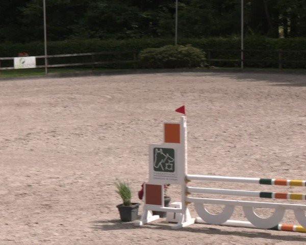 Reitturnier Klein Roscharden 2025