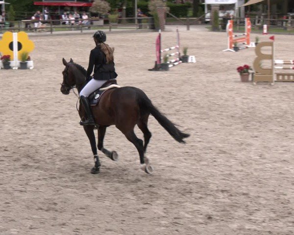 Reitturnier Klein Roscharden 2025